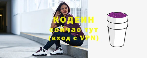 дурь Арсеньев
