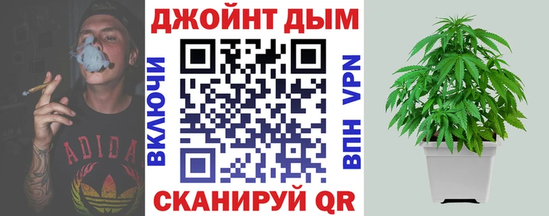 Купить где Гдов МАРИХУАНА индика
